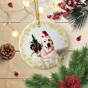 Een geweldige Dog Puppy Pet Eerste Kerstmis Eenvou Keramisch Ornament