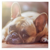 Een geweldige franse bulldog tegeltje (Voorkant)
