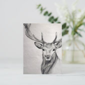 Een geweldige potloodtekening van een mooi wezen. briefkaart (Staand voorkant)