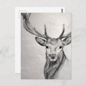 Een geweldige potloodtekening van een mooi wezen. briefkaart (Voorkant / Achterkant)