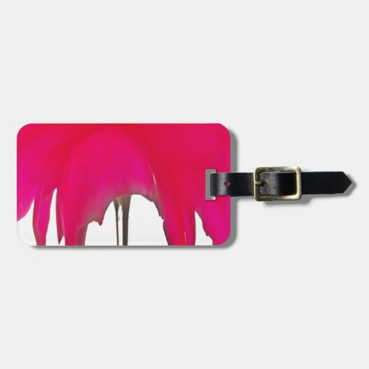 Een geweldige Rode roos onder de witte hemel. Bagagelabel (Voorkant horizontaal)