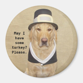 Een gezegende pelgrim magneet