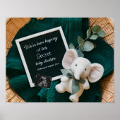 Een gezellige Neutral basket zwangerschapsaankondi Poster (Voorkant)