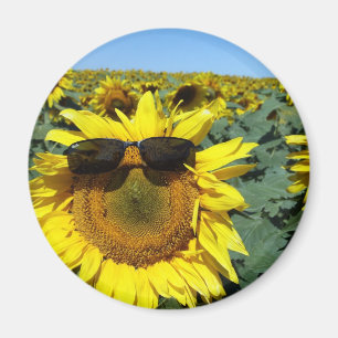 Een gezicht in de kroeg magneet