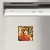 Een gezichtsvermogen van Fiametta (Roodharige Vrou Magneet (Insitu (Vaatwasser))