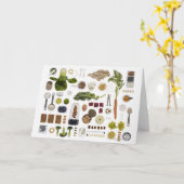 Een gezond voedselnet op een witte achtergrond. kaart (Gele Bloem)