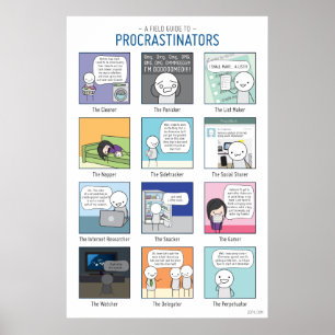 Een Gids van het Gebied aan het Poster van Procras