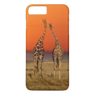 Een giraffenpaar loopt richting de zonsondergang,  Case-Mate iPhone case