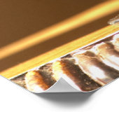 Een glas rode Chateau Belgrave in zonlicht - Poster (Hoek)