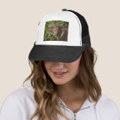 Een glimlachend Grizzly-Beer Trucker Pet (In situ)