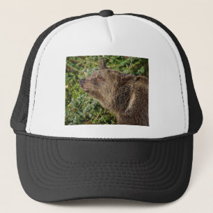 Een glimlachend Grizzly-Beer Trucker Pet