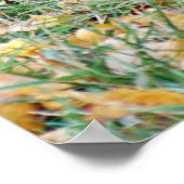 Een glimlachend zwart Beer Poster (Hoek)