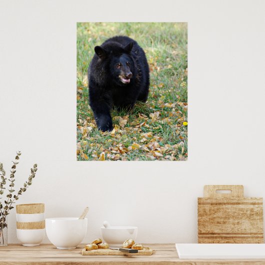 Een glimlachend zwart Beer Poster (Keuken)