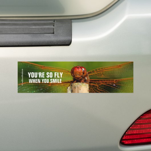 Een glimlende rode likker bumpersticker (Op auto)