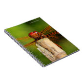 Een glimlende rode likker notitieboek (Rechterzijde)