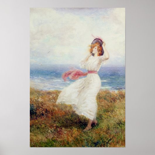 Een gloed op de Cliffs Poster (Voorkant)