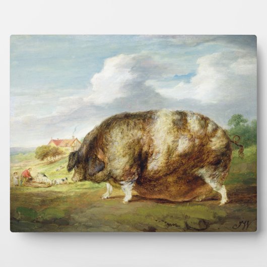 Een Gloucestershire Old Spot (olie op het paneel) Fotoplaat (Voorkant)