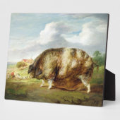 Een Gloucestershire Old Spot (olie op het paneel) Fotoplaat (Zijkant)