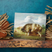 Een Gloucestershire Old Spot (olie op het paneel) Fotoplaat (Zijkant)