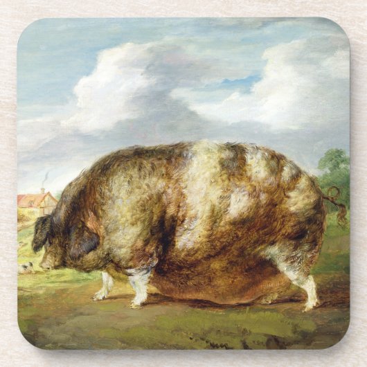 Een Gloucestershire Old Spot (olie op het paneel) Onderzetter (Voorkant)