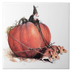 EEN GNOME DIE EEN PUMPKIN RICHT DIE DOOR MICE WORD TEGELTJE