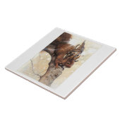 EEN GNOME DIE EEN SQUIRREL RICHT TEGELTJE (Zijkant)