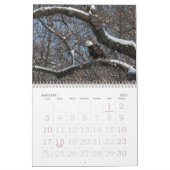 Een goed jaar voor Eagles Agenda Kalender (Jan 2027)