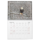 Een goed jaar voor Eagles Agenda Kalender (Feb 2026)