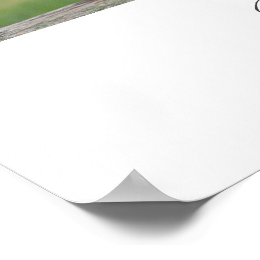 Een goed levend Casual script 3 foto begrafenis Poster (Hoek)