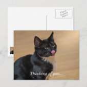 Een goed Lick Painterly denking van je Briefkaart (Voorkant / Achterkant)