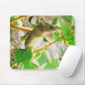 EEN GOED MOUSEPAD MUISMAT (Met muis)