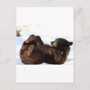 Een goede dag!!! briefkaart