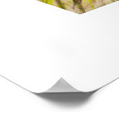 Een goede dag om te lezen poster (Hoek)