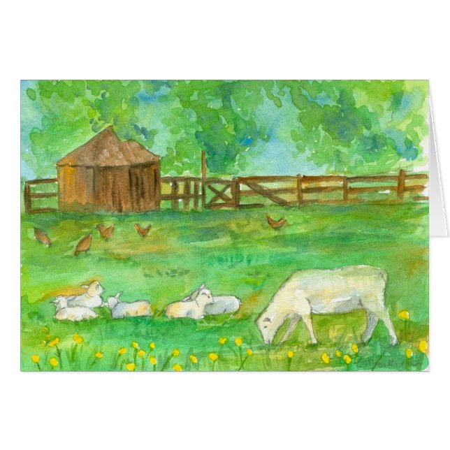 Een goede dag schapen lammeren kippen boerderijdie (Voorkant Horizontaal)