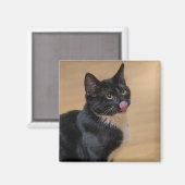 Een goede Lick Painterly Magneet (Voorkant / Achterkant)