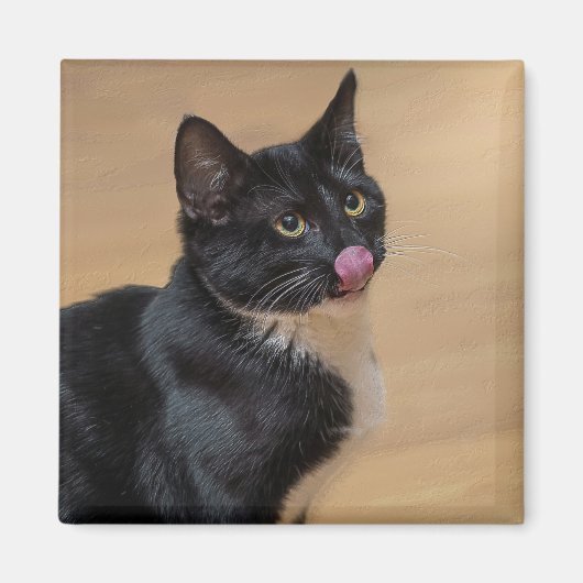 Een goede Lick Painterly Magneet (Voorkant)