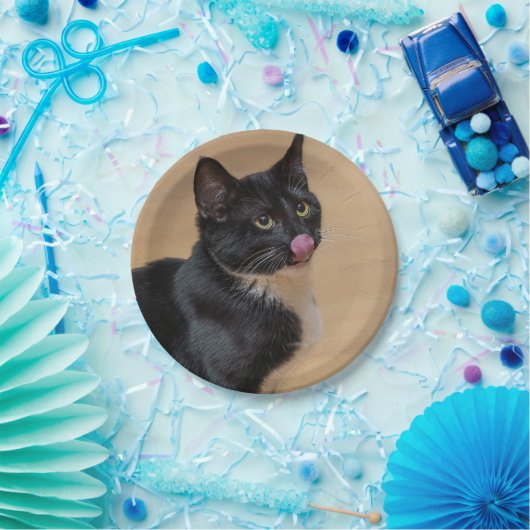 Een goede Lick Painterly Papieren Bordje (Feest)