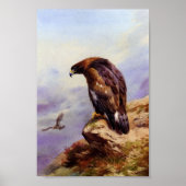 Een Golden Eagle Poster (Voorkant)