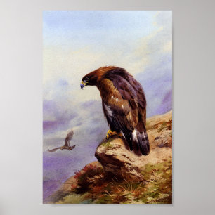 Een Golden Eagle Poster