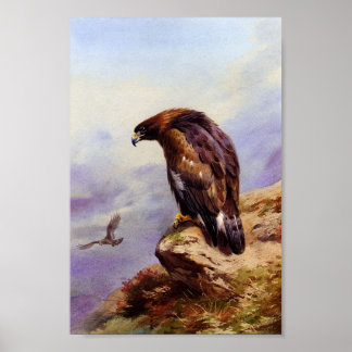 Een Golden Eagle Poster