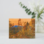 Een Golden Eve, Waiheke Island van Alfred Sharpe 1 Briefkaart (Staand voorkant)