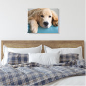 Een Golden Retriever Puppy Canvas Afdruk (Insitu (Slaapkamer))