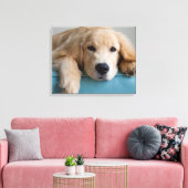 Een Golden Retriever Puppy Canvas Afdruk (Insitu (Woonkamer))