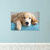 Een Golden Retriever Puppy Canvas Afdruk (Insitu (Houten vloer))