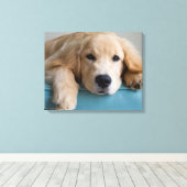 Een Golden Retriever Puppy Canvas Afdruk (Insitu (Houten vloer))