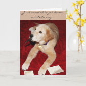 Een Golden Schrijven Een Nota Gezegde Sorry Kaart (Gele Bloem)