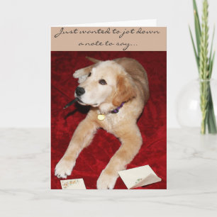 Een Golden Schrijven Een Nota Gezegde Sorry Kaart