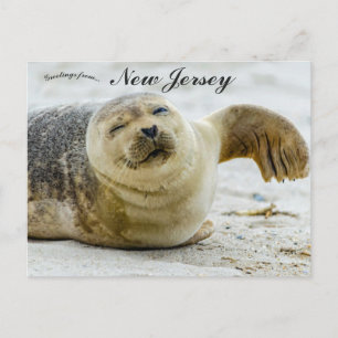 Een golf en een knipoog van een zeehond in New Jer Briefkaart