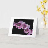 Een "golf van Paarse Tulpen " Kaart (Gele Bloem)