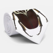 Een Goliathus stropdas (Opgerold)